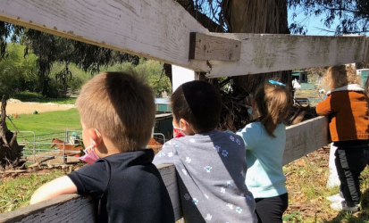 Children watching