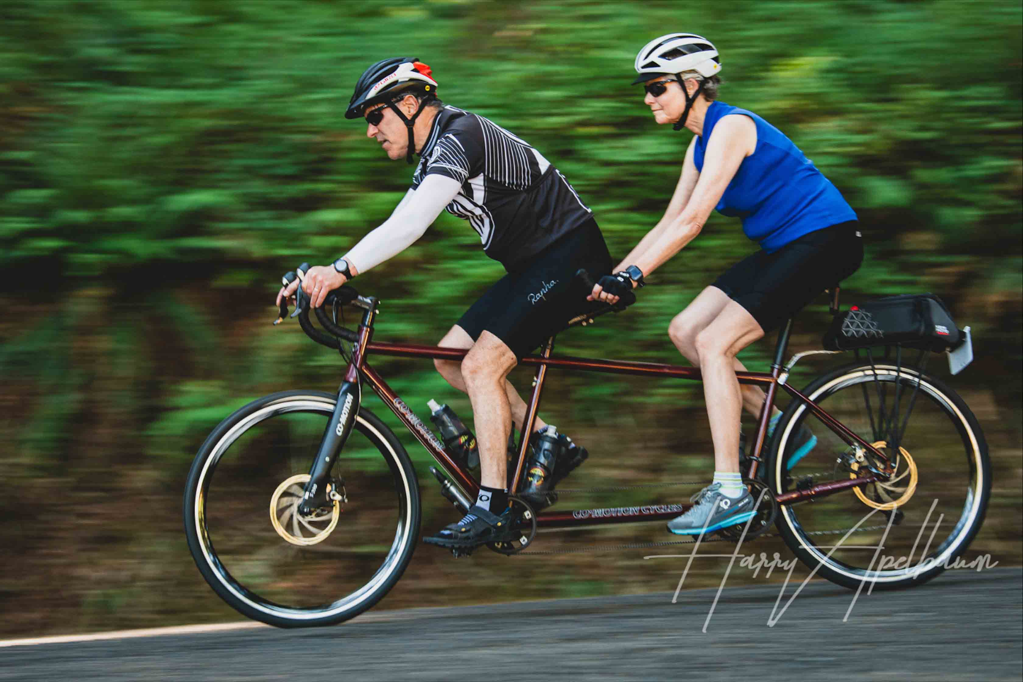 Sam Handelman ’77 and Barbara Pettersen