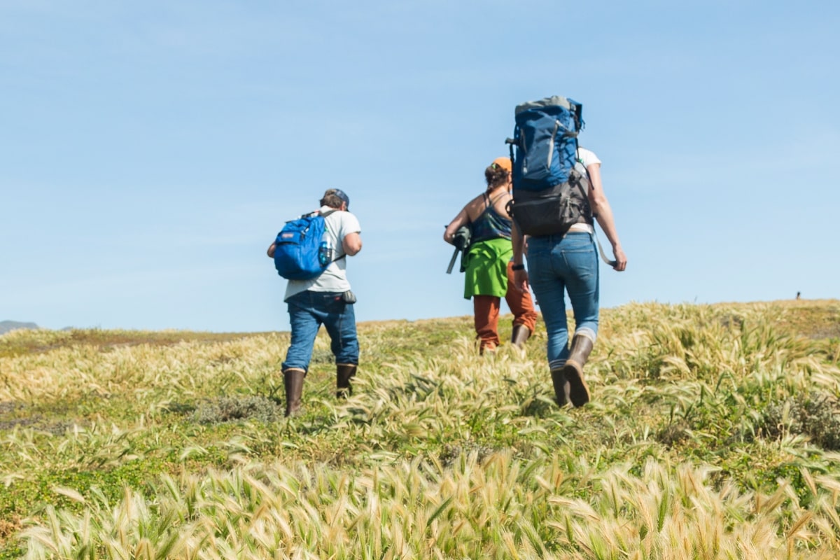 Three students hiking