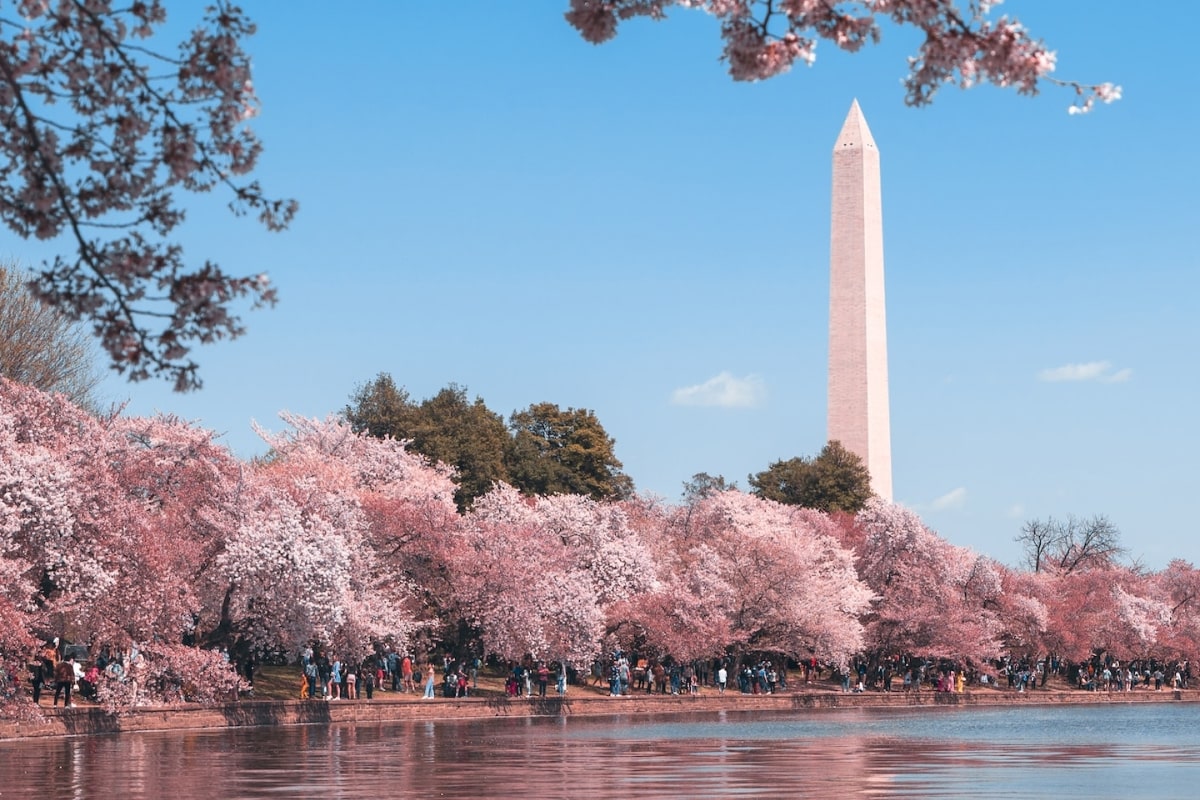 Washington Monument in D.C.