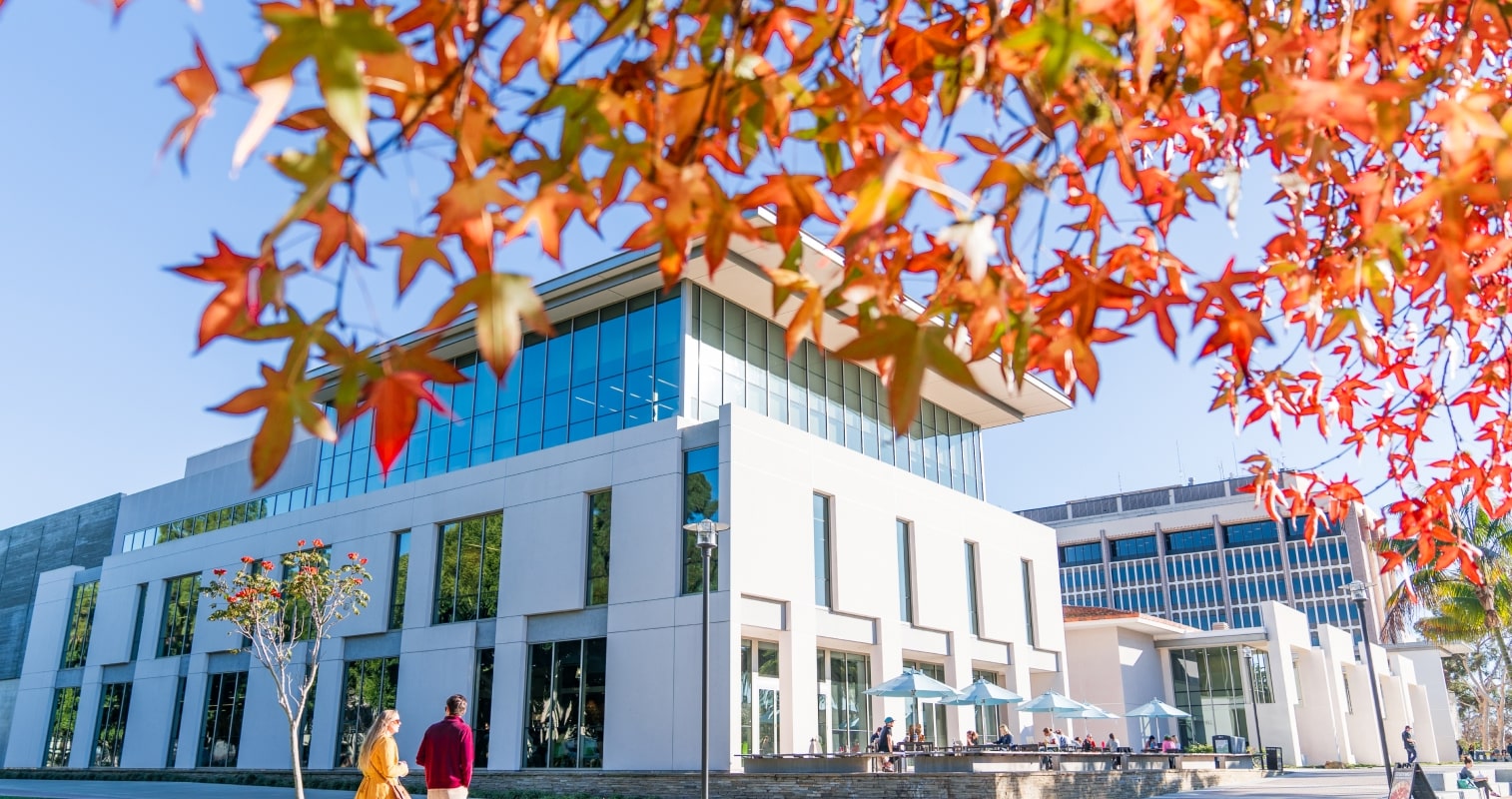 Library at UCSB campus